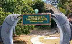 Saanane Islands National Park vignette