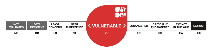 uicn vulnerable