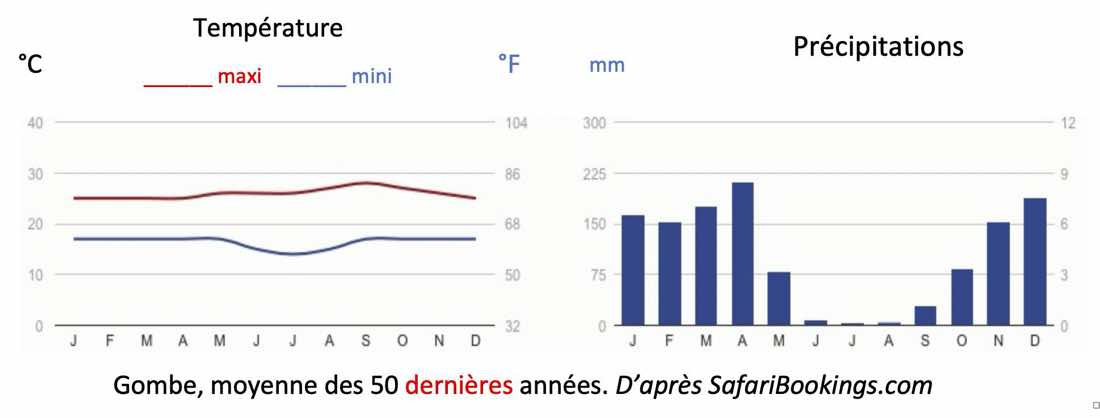 climat gombe