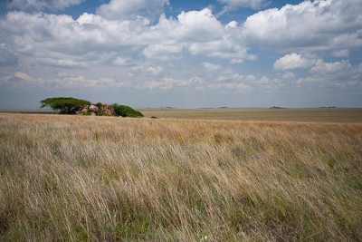 Serengeti NP