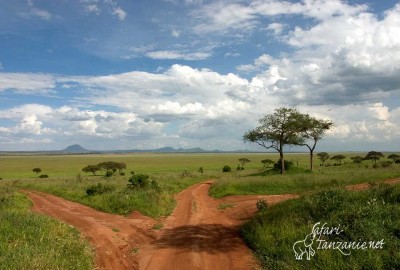 Tarangire NP