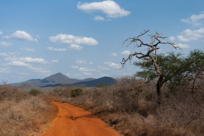 Mkomazi NP