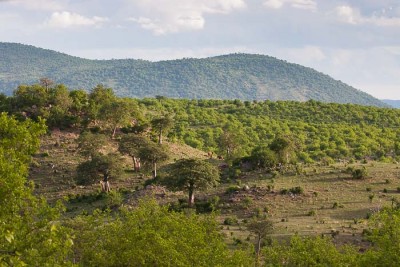 Ruaha en février