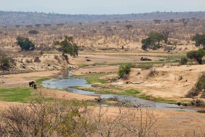 Ruaha un jour d'octobre