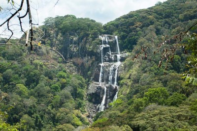 Udzungwa NP