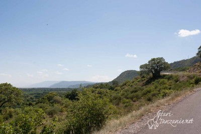 Manyara NP