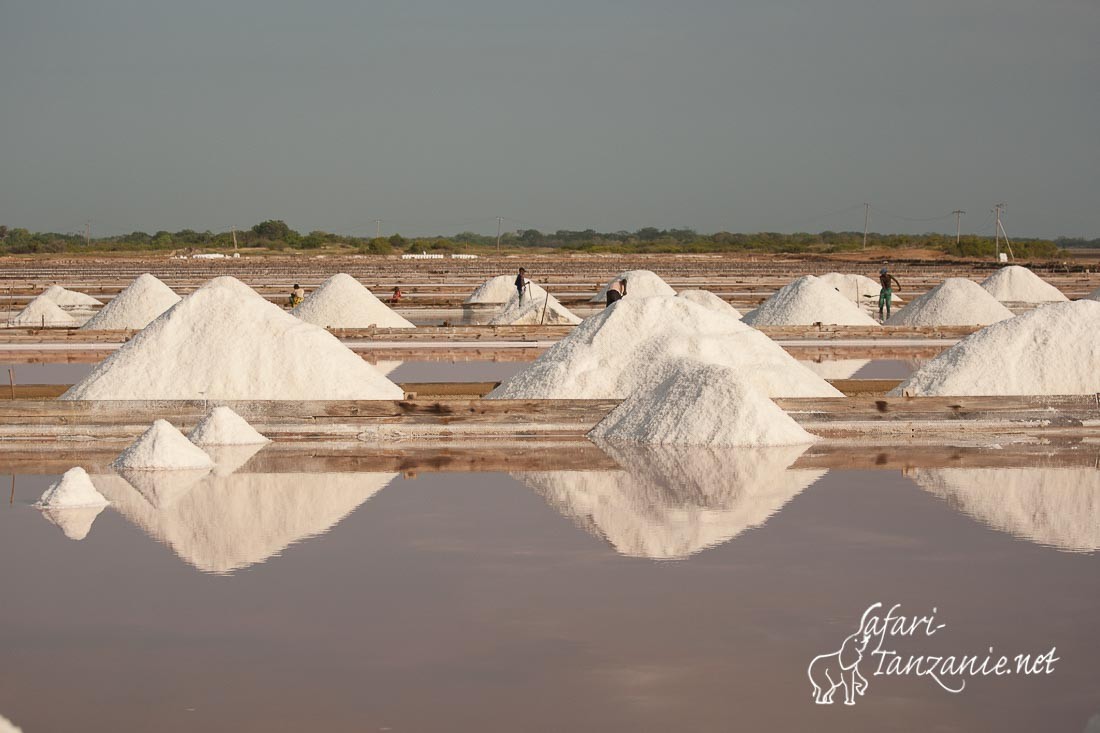 marais salants 107981