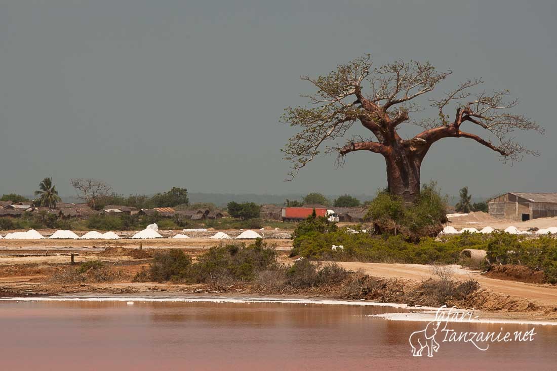 salines 108012