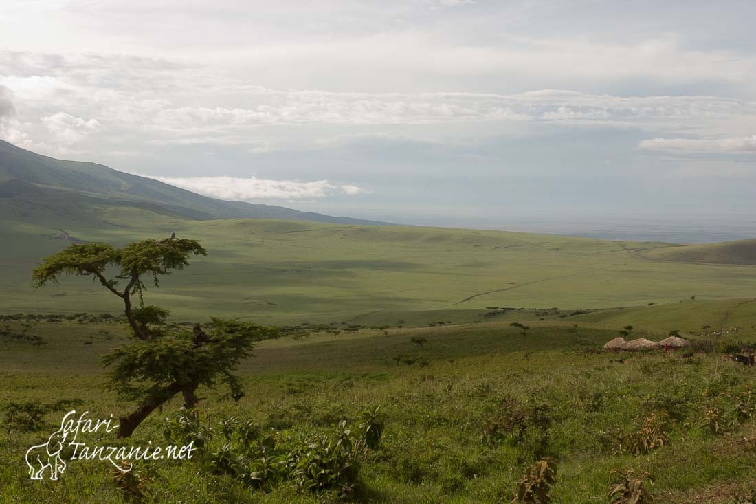 vue sur serengeti 1676