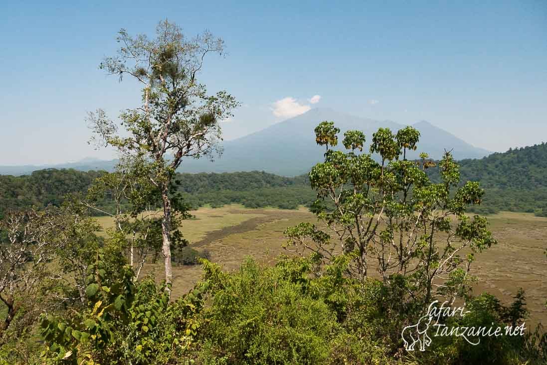 ngurdote et meru 1040090