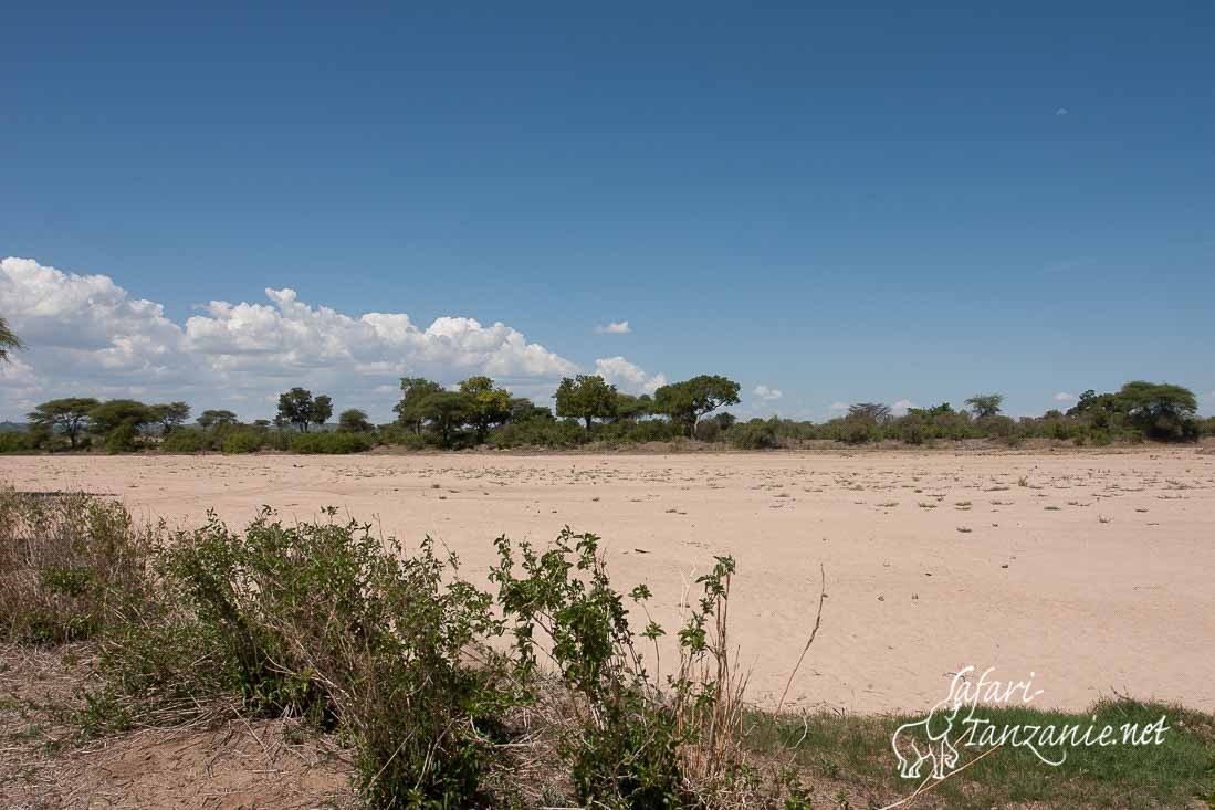 mwagusi river 5136