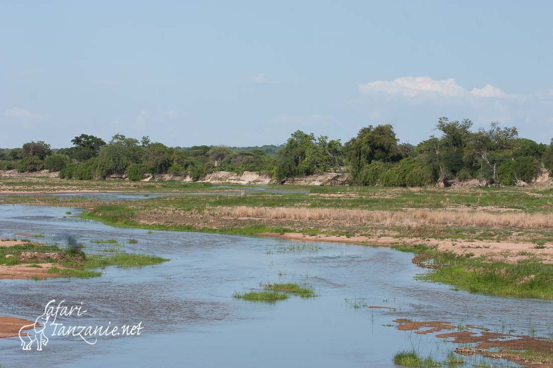 ruaha river 5171