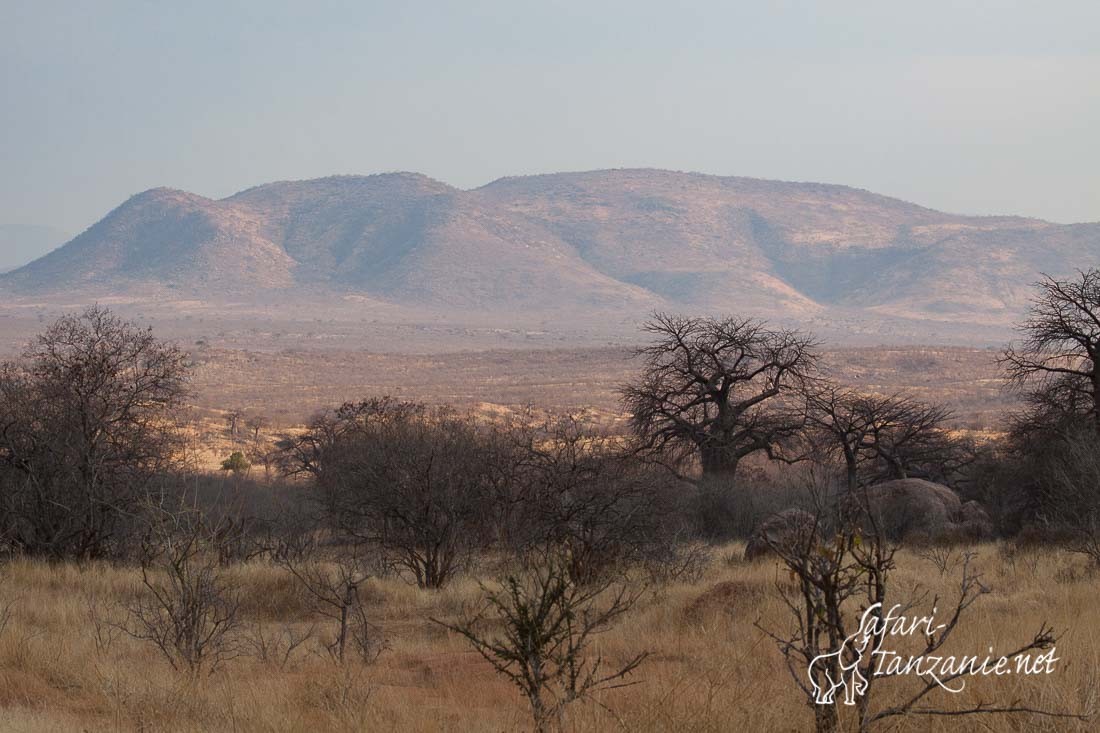 vue du kilimatonge 0856