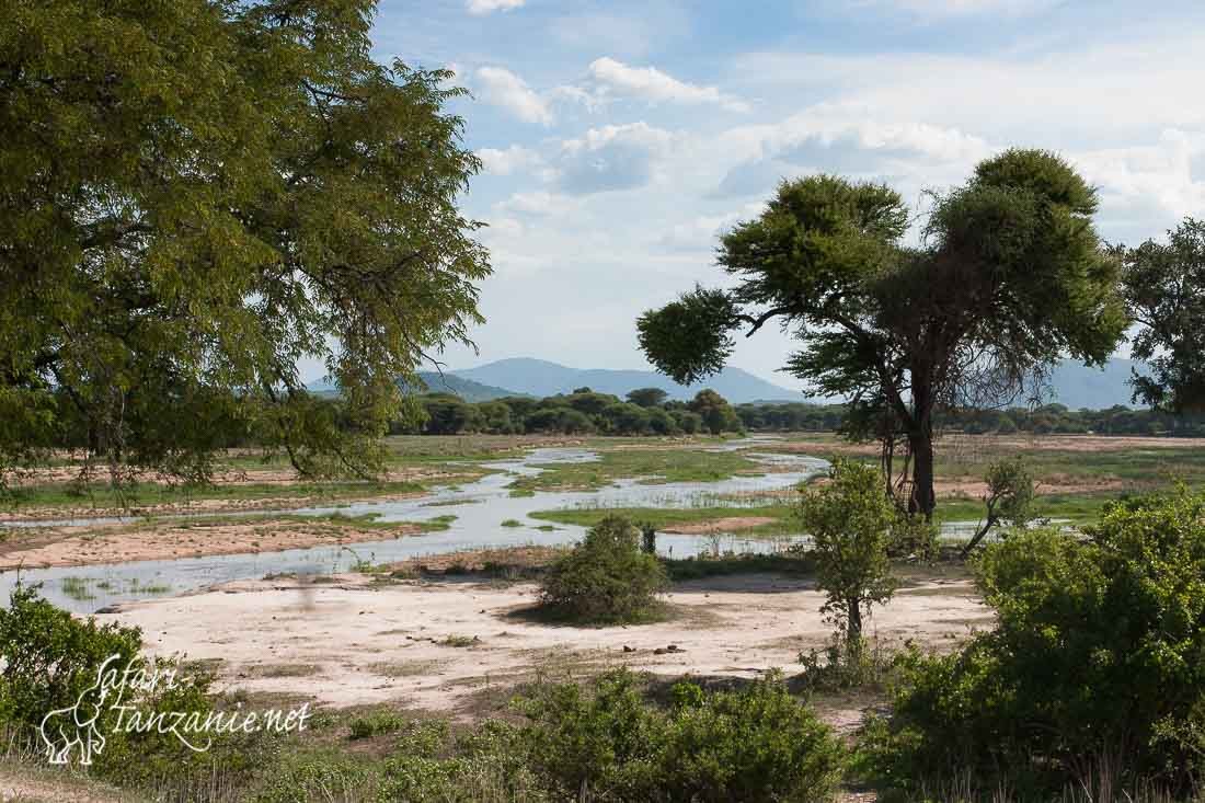 ruaha river 5150