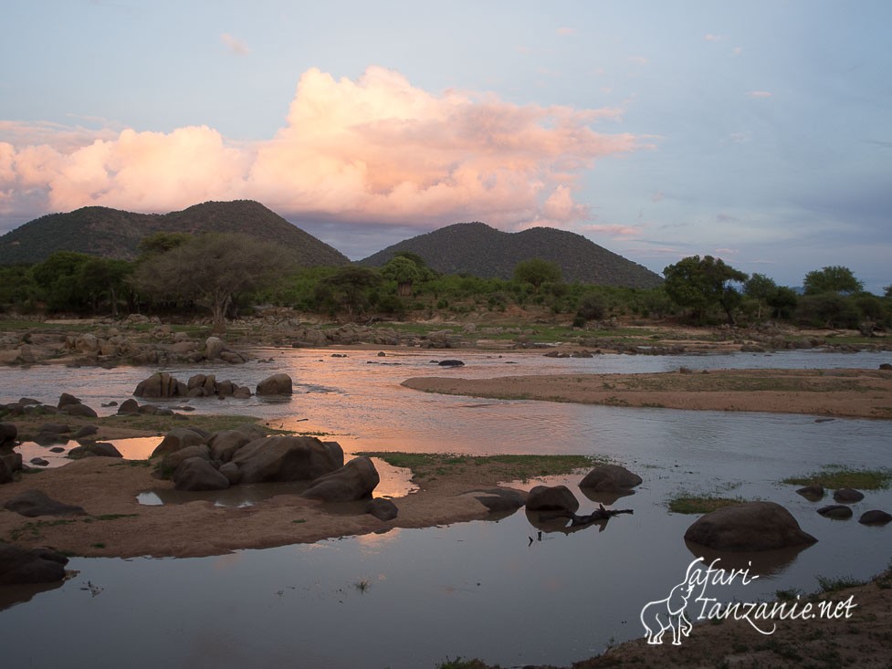 soir sur ruaha 2010177