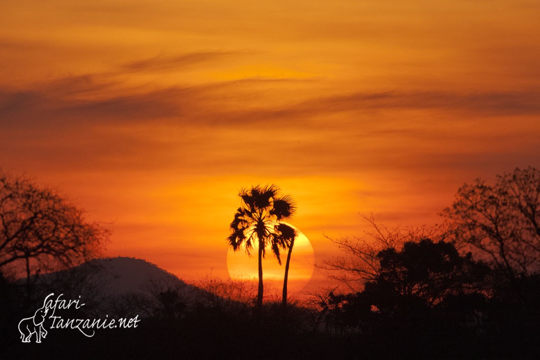 coucher de soleil 104802