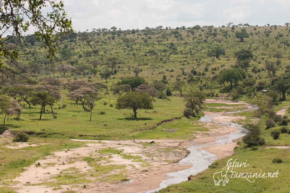 riviere tarangire 0130