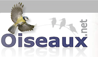 oiseaux net