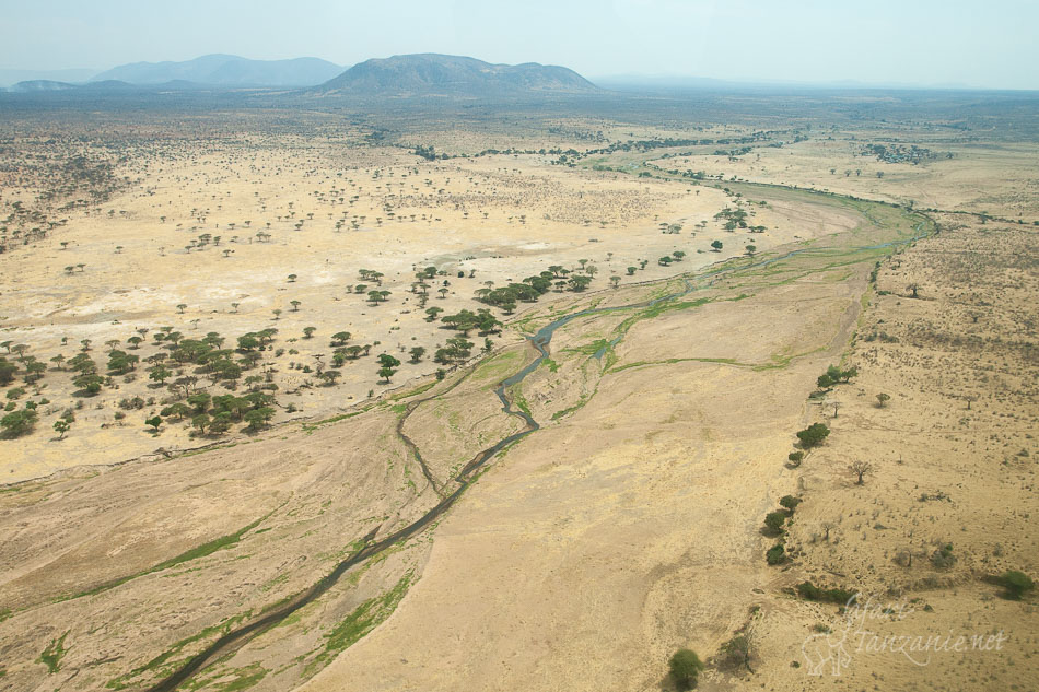 ruaha 104035