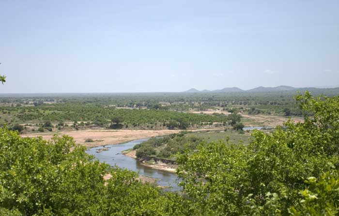 RUAHA NATIONAL PARK TANZANIE