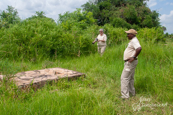 selous grave 1010068