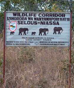 selous niassa info