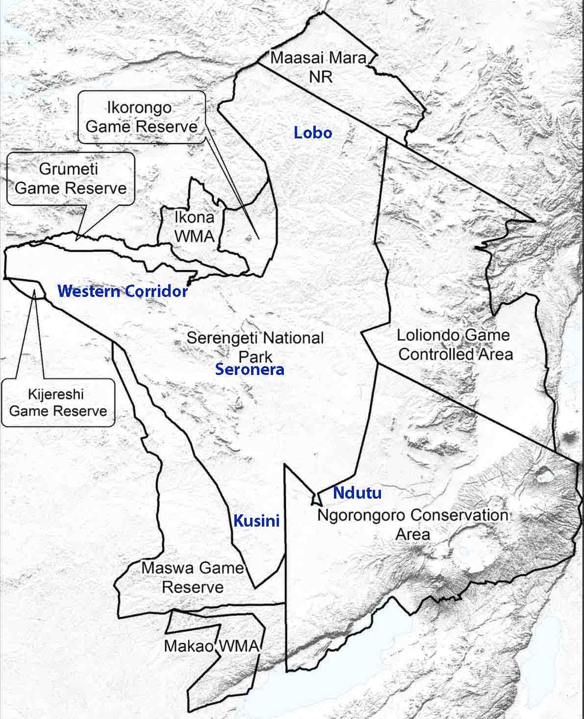 serengeti ecosysteme copie