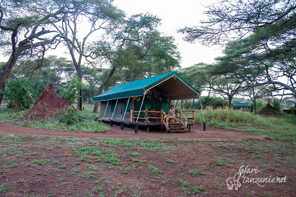 tarangire swala camp 5969