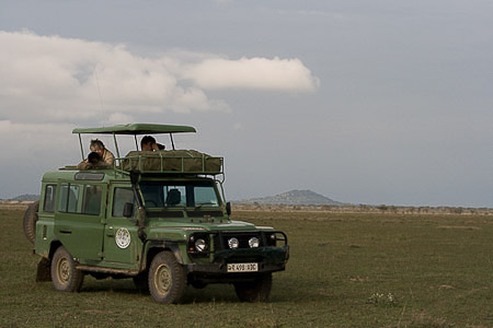 safari voiture 8051